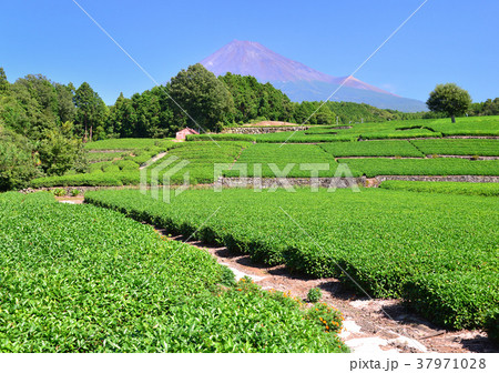 大淵からの風景-333082 大淵からの風景-333082 37971028