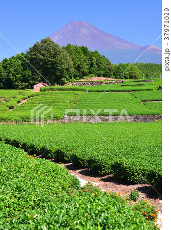 大淵からの風景-333083 大淵からの風景-333083 37971029