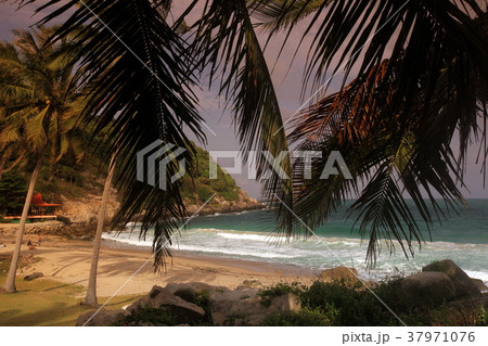 ASIA THAILAND KO TAO 37971076