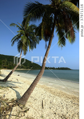 ASIA THAILAND CHUMPHON BEACH ASIA THAILAND CHUMPHON BEACH 37971116