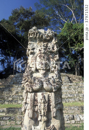 LATIN AMERICA HONDURAS COPAN LATIN AMERICA HONDURAS COPAN 37971532