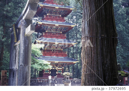 ASIA JAPAN TOKYO 37972695