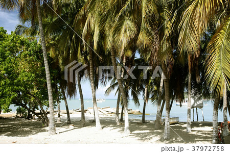 SOUTH AMERICA VENEZUELA ISLA MARGATITA J 37972758