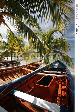 VENEZUELA ISLA MARGATITA PEDRO GONZALEZ BEACH 37972816