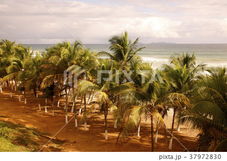 VENEZUELA ISLA MARGATITA GUACUCO VENEZUELA ISLA MARGATITA GUACUCO 37972830