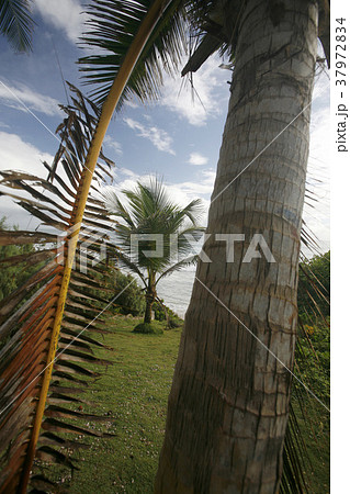 VENEZUELA ISLA MARGATITA EL CARDON BEACH VENEZUELA ISLA MARGATITA EL CARDON BEACH 37972834