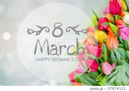 tulips in garden 37974122