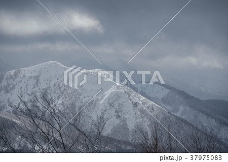 冬の里山冬の里山 37975083