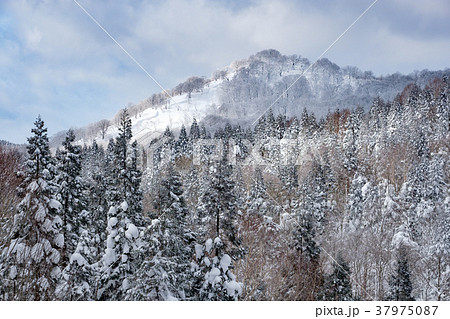 冬の里山冬の里山 冬の里山冬の里山 37975087