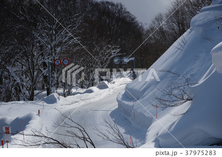 雪道 雪道 37975283