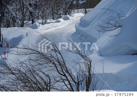 雪道 37975284