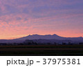 朝焼け大雪山 朝焼け大雪山 37975381