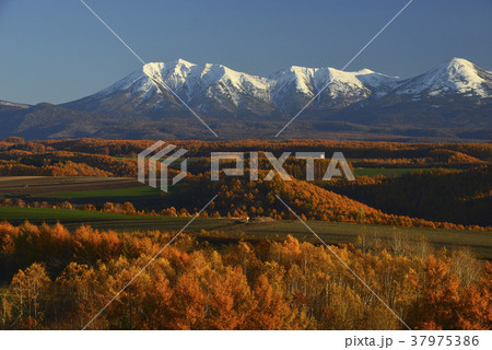 就実の丘 37975386