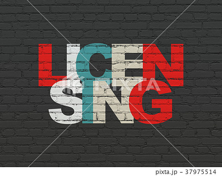 Law concept: Licensing on wall background 37975514