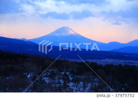 霧ケ峰高原池のくるみと富士山 霧ケ峰高原池のくるみと富士山 37975752