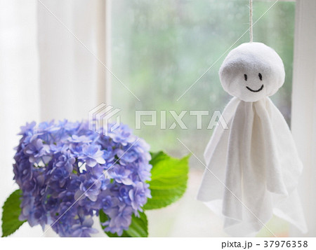 てるてる坊主とあじさい てるてる坊主とあじさい 37976358