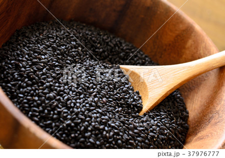 バジルシード バジルシード 37976777