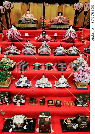雛段飾り 雛段飾り 37976859