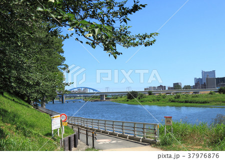 多摩川 丸子橋 調布取水堰 37976876