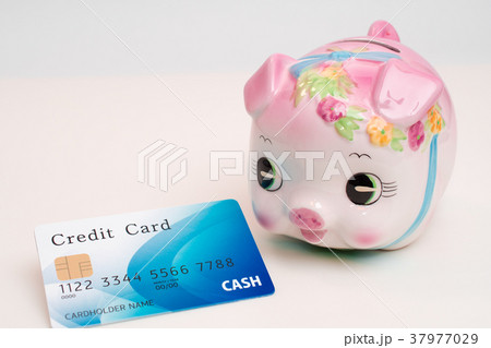 キャッシュカードとブタの貯金箱 キャッシュカードとブタの貯金箱 37977029