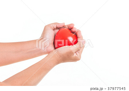 37977545