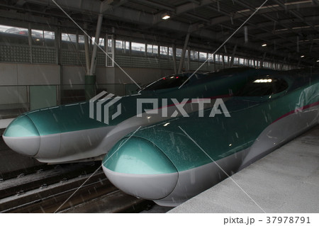 二戸駅で並ぶ東北新幹線E5系 二戸駅で並ぶ東北新幹線E5系 37978791
