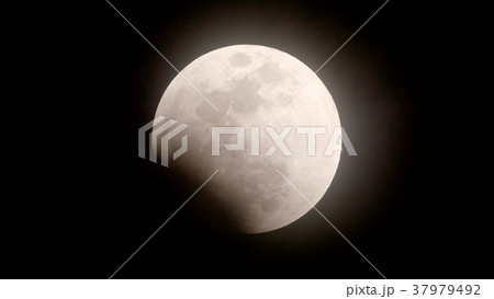 皆既月食(2018年1月31日)愛知県名古屋市 皆既月食(2018年1月31日)愛知県名古屋市 37979492