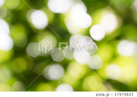 Beautiful bokeh of background. 37979835