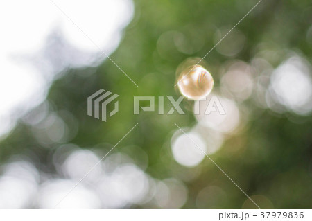 bokeh from natural daylight. bokeh from natural daylight. 37979836