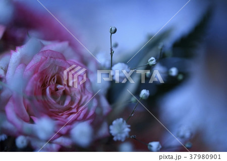 バラのブーケ 37980901