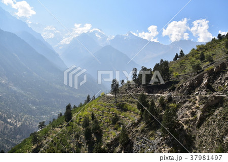インドのキナウル谷 レコン・ピオの美しい山々と村 インドのキナウル谷 レコン・ピオの美しい山々と村 37981497
