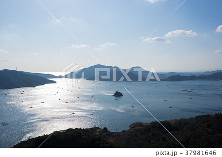 徳島県鳴門市　四方見展望台付近から望むウチノ海　遠方に紀伊水道 37981646