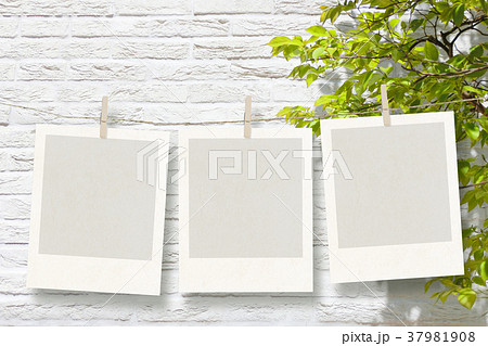 吊るした写真の枠と白壁と緑 37981908