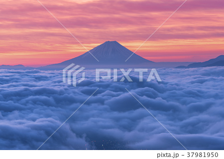 雲海と富士山 高ボッチ高原から遠望の写真素材