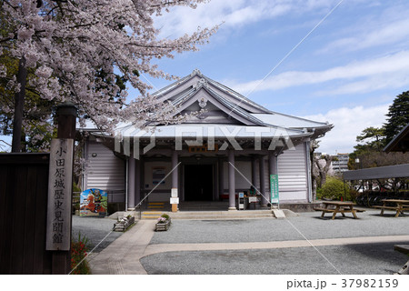 小田原城歴史見聞館 小田原城歴史見聞館 37982159