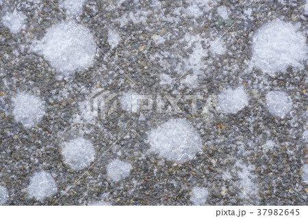 雪で覆われた水溜まりの気泡が水玉模様に・・3 37982645
