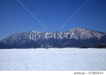 雪の弥彦山　　 37983814