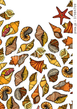 Vintage seafood frame vector illustration. 37984709