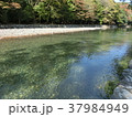 五十鈴川 五十鈴川 37984949