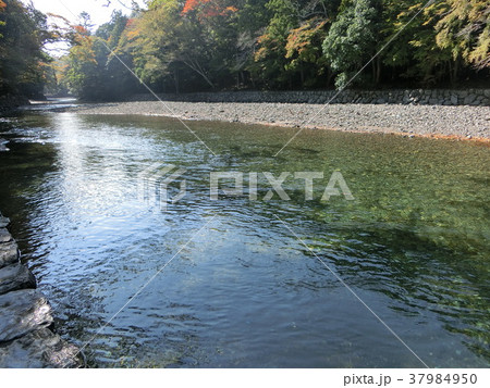 五十鈴川 五十鈴川 37984950