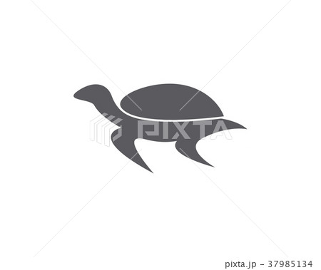 turtle animal cartoon icon image illustration turtle animal cartoon icon image illustration 37985134