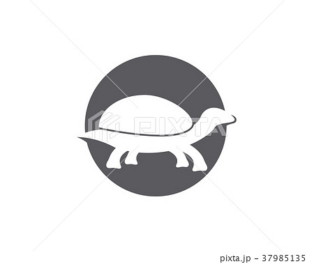 turtle animal cartoon icon image illustration turtle animal cartoon icon image illustration 37985135