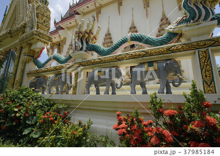 ASIA THAILAND ISAN AMNAT CHAROEN ASIA THAILAND ISAN AMNAT CHAROEN 37985184