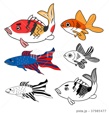 Carp, Goldfish, Siamese Fighting Fish Set 37985477