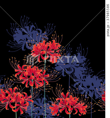 日本的な彼岸花の柄 のイラスト素材