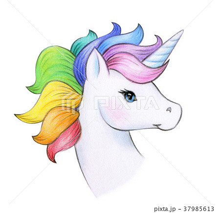 Cute Magic Unicorn Portrait Isolated On White のイラスト素材