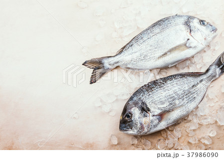 Fresh uncooked dorado Fresh uncooked dorado 37986090