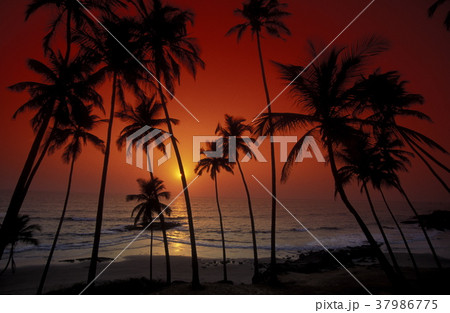 ASIA INDIA GOA ASIA INDIA GOA 37986775