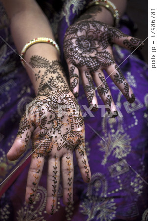 ASIA INDIA RAJASTHAN 37986781