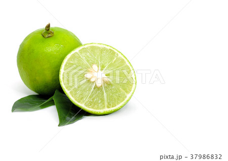 Green Lime fruit slice on white background 37986832